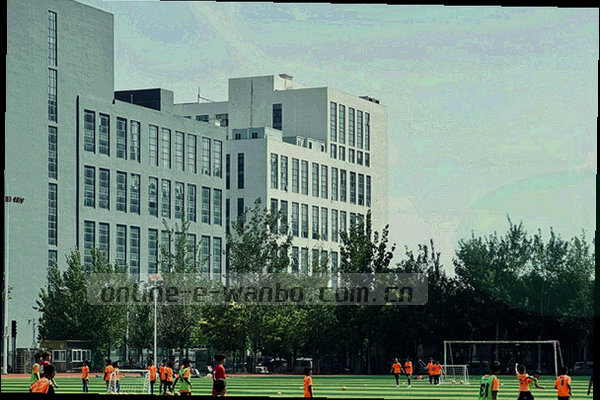 在线客服概念图，屏幕上显示客服对话窗口与服务图标